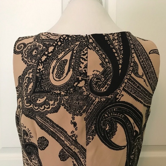 Rabbit Rabbit Rabbit Tan and Black Dress - Picture 5 of 5